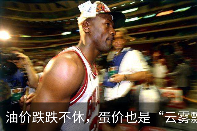 油价跌跌不休，蛋价也是“云雾飘飘”！